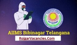 AIIMS Bibinagar Recruitment