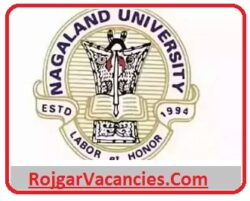Nagaland University Recruitment