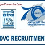 DVC Recruitment