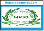 NRRI Recruitment
