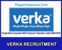 Punjab Verka Milkfed Recruitment