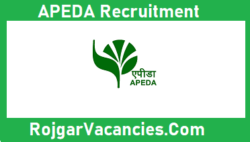 APEDA Recruitment