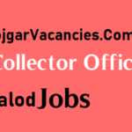 Collector Office Balod Recruitment