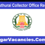 Collector Office Mayiladuthurai Recruitment