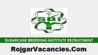 Sugarcane Breeding Institute Recruitment