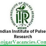 IIPR Kanpur Recruitment
