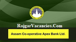Apex Bank Assam Recruitment