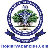 Govt Medical College Mahabubnagar Recruitment