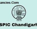 SPIC Chandigarh Recruitment