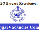 DEO Bargarh Recruitment