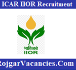 ICAR IIOR Recruitment
