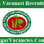 IIVR Varanasi Recruitment