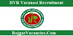 IIVR Varanasi Recruitment