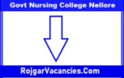 Govt Nursing College Nellore Recruitment